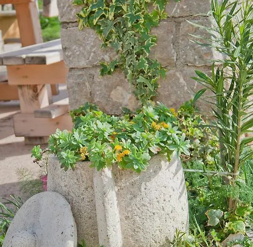 Punta Apartamento Seline